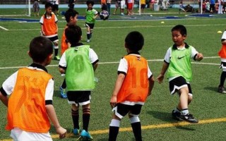 小孩拿足球砸人犯法吗，小孩拿足球砸人犯法吗视频