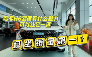 买哈弗h6十大忠告，买哈弗h6十大忠告是什么