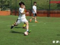足球赛可以打架吗现在，足球赛可以打架吗现在
